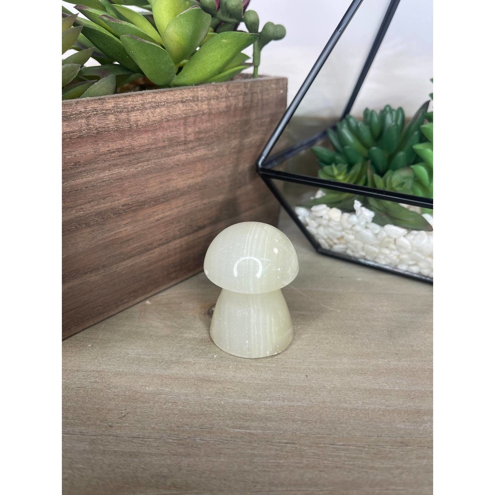 Green Onyx Mushroom Crystal Carving - Picture 1 of 5